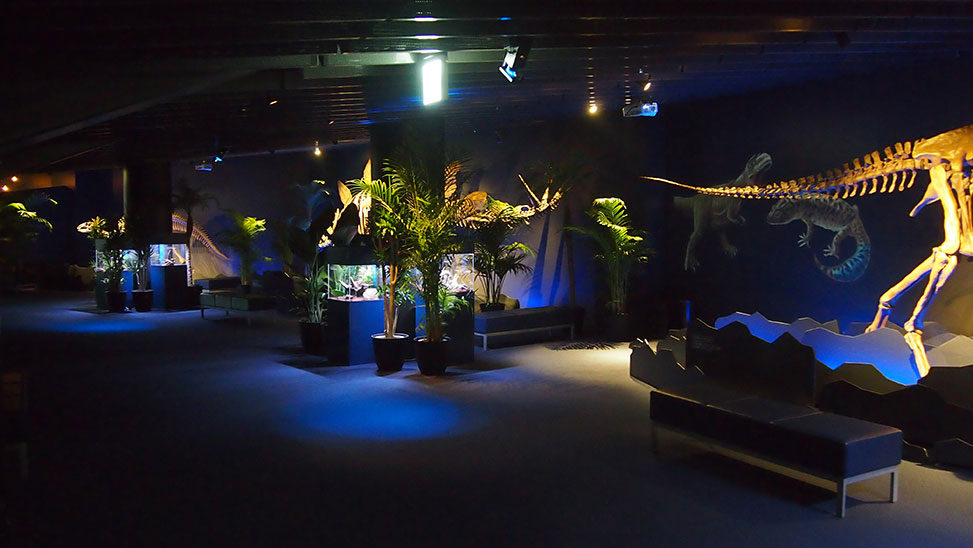 恐竜たちと水族館2015 館内写真